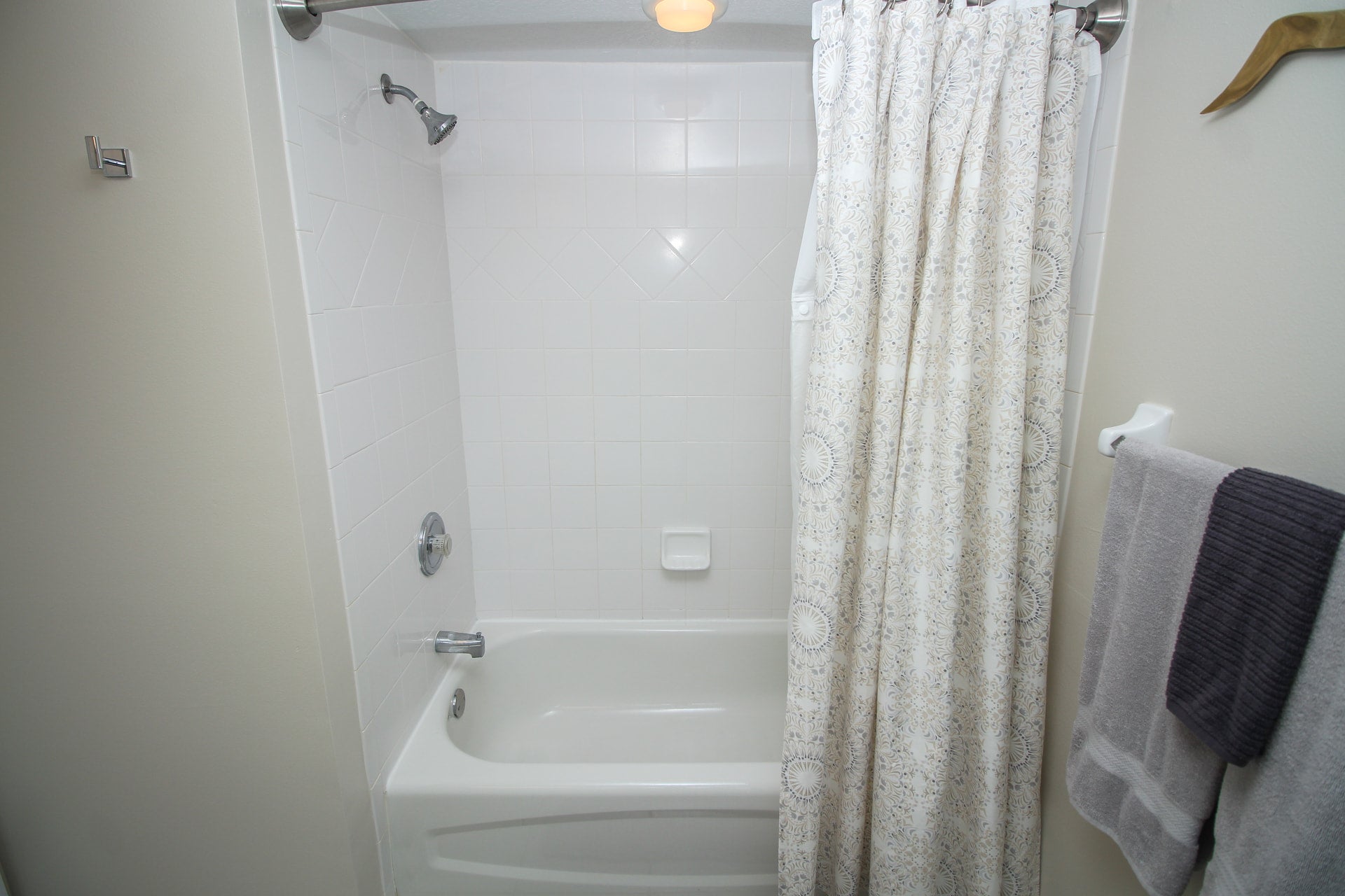 Shower & Tub Combo