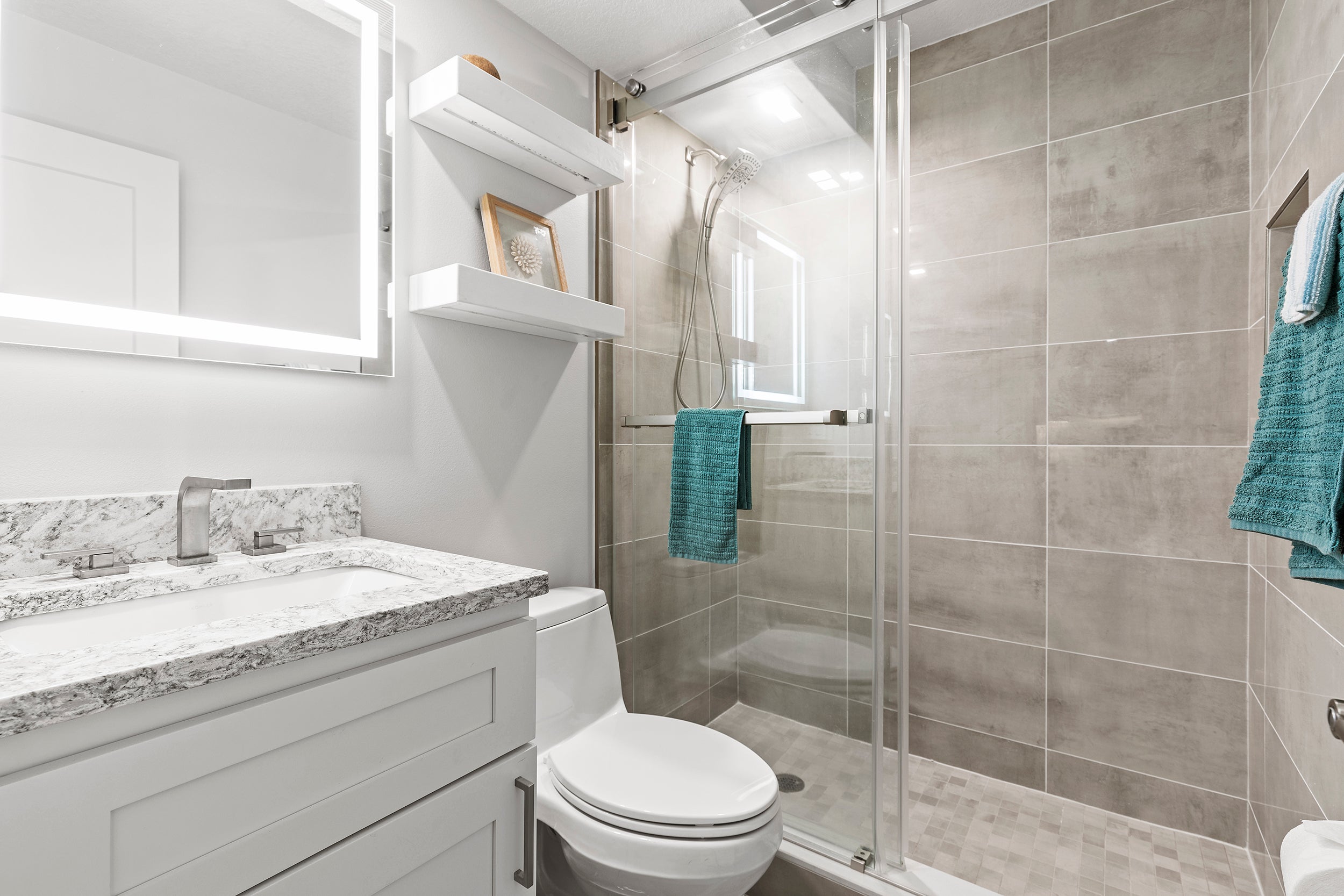 Guest Bathroom with Walk-In Shower