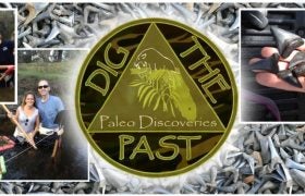 Paleo Discoveries- Fossil Hunting Tours