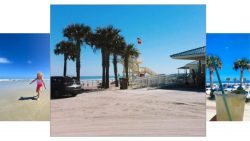 Spring Activities and Things to Do in New Smyrna Beach
