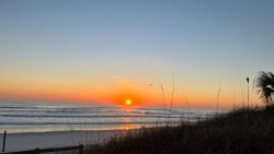 Where to See the Sunrise in NSB
